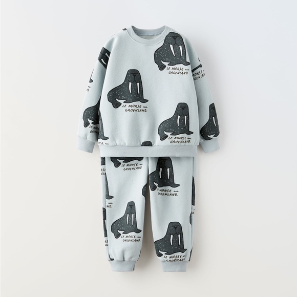 Zara Other - WALRUS SWEATSHIRT AND PANTS PLUSH MATCHING SET